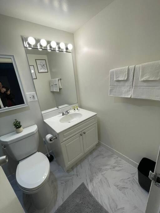Charming Apartment At Crystal City With Amazing Amenities Arlington Exterior foto
